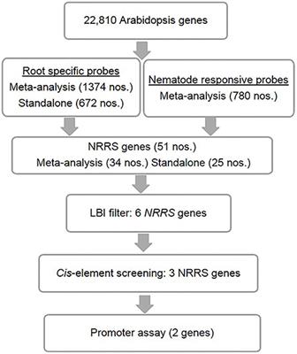 Identification, Validation and Utilization of Novel Nematode-Responsive Root-Specific Promoters in Arabidopsis for Inducing Host-Delivered RNAi Mediated Root-Knot Nematode Resistance